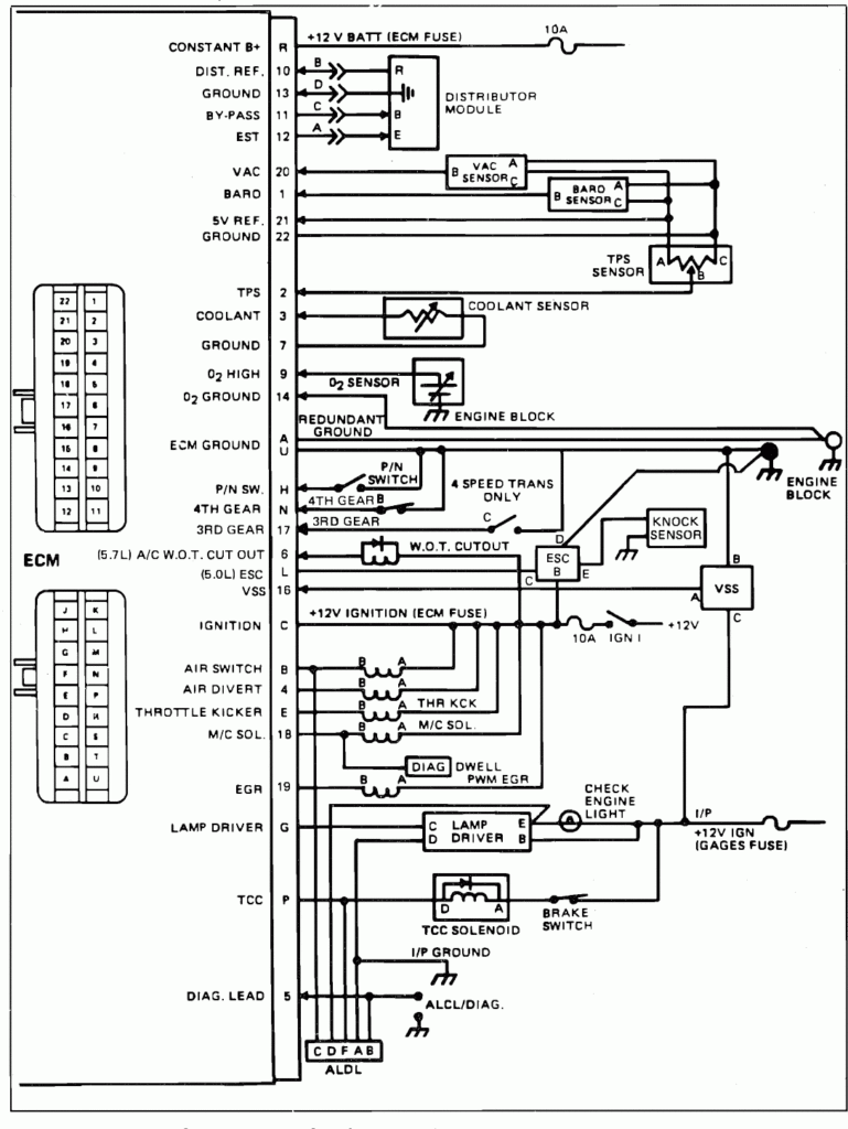 1981 El Camino Wiring Diagram Wiring Diagram