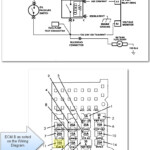 91 S10 Fuel Pump Wiring Diagram Wiring Diagram