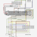 Radio Wiring Diagram For 2002 Chevy Trailblazer 36guide ikusei